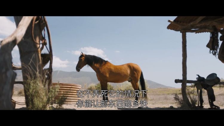 《毒液3》首支预告全球公布 10月25日上映